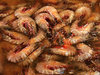 cold prawns