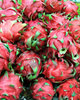 dragon fruit