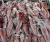 squid to go