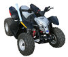Quad