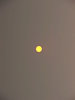 yellow centre