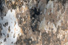 Tree Bark