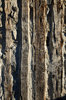 Log Cabin Wall