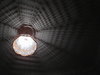 lamp-Light