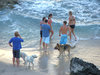 dog's day at the beach