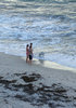 dog's day at the beach