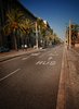 Bus Line Barcelona