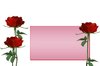 roses illustration