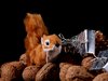 Christmas squirrel