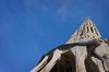 Sagrada Familia 3