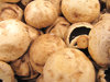 mushroom pack