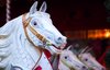 Merry go round horse