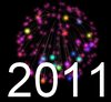 2011 New Year 7