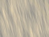 Backdrop Texture 1