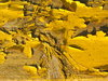 Yellow wooden texture