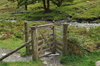 Kissing gate