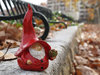 Gnome 020