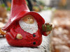 Gnome 040