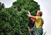 Gardener at work