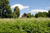 Village