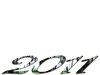 New Year 2011