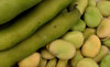 broad beans