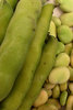 broad beans