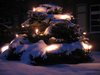 snowy christmas tree
