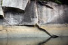 Rocks texture 7