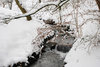 creek in december