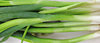 spring onions