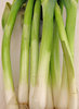 spring onions