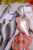 Fish market