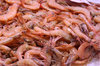 Fish market