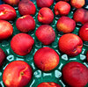 ripe nectarines