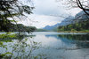 alpsee lake
