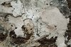 Textures 2