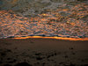 golden seashore