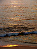 golden seashore