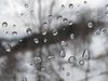 Water drops