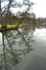 Winter reflections