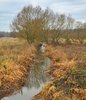 Stream on bog land