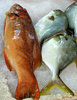 at the fish market