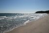 Sparkling shore