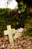 Forgotten