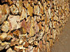 stonewalled