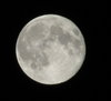 The Moon