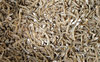 dried white bait