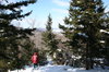 Winter walk