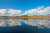Reflections of spring